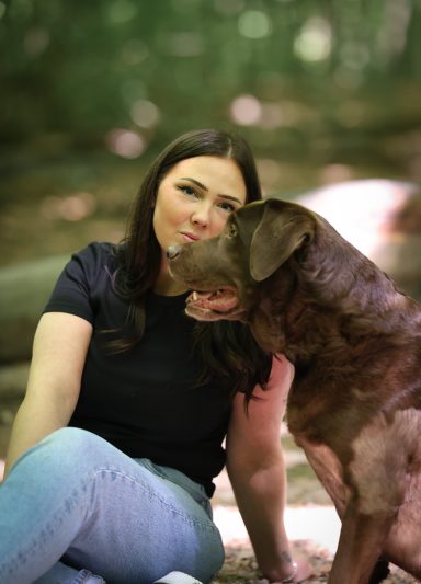 Hund Labrador Hundeshooting