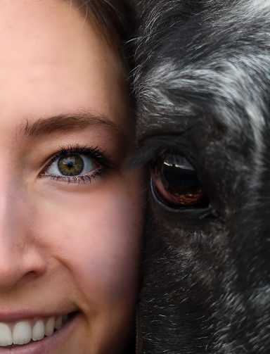 Mensch und Pferd Auge an Auge
