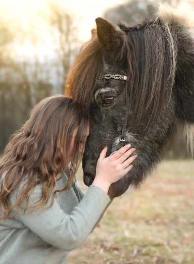 Mensch Pferd