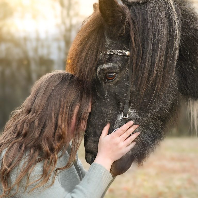 Auge Mensch Auge Hund