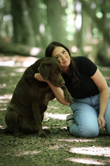 Hund Labrador Hundeshooting
