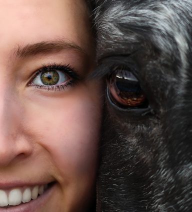 Mensch und Pferd Auge an Auge