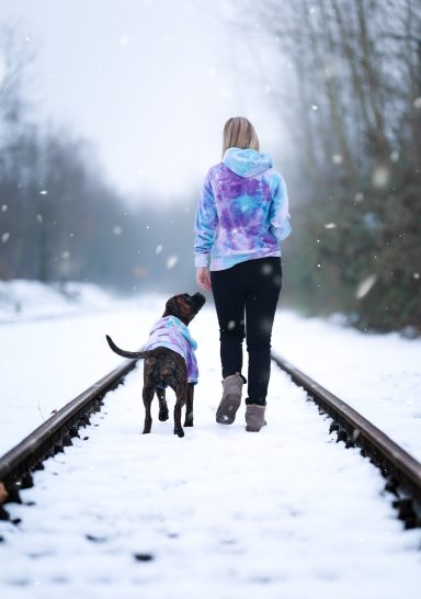 Hund Boxer im Schnee