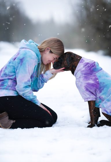 Hund Boxer im Schnee